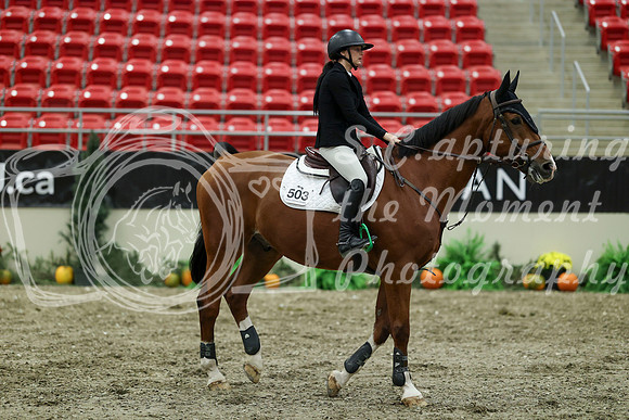 01344 - Mara - 2026 Royal West - Thursday October 15th