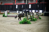 03441 - Mara - 2026 Royal West - Tuesday October 20th