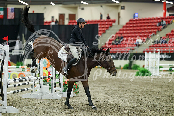 01800 - Mara - 2026 Royal West - Thursday October 15th