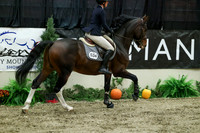03642 - Mara - 2026 Royal West - Friday October 16th