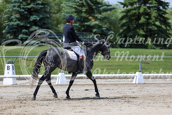 2025 - Dressage Festival - Saturday July 5th - 09037