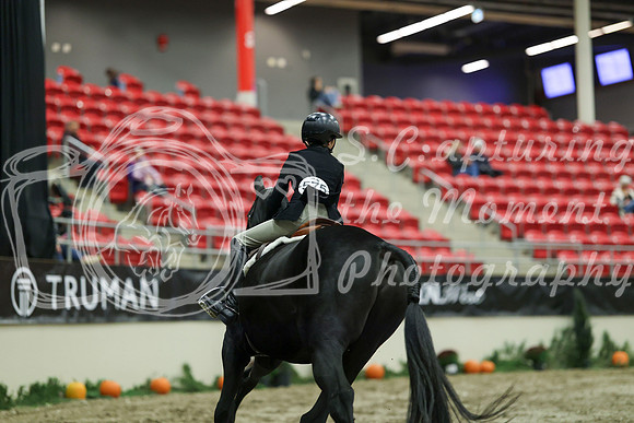 01736 - Mara - 2026 Royal West - Saturday October 17th
