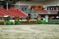 01800 - Mara - 2026 Royal West - Saturday October 17th