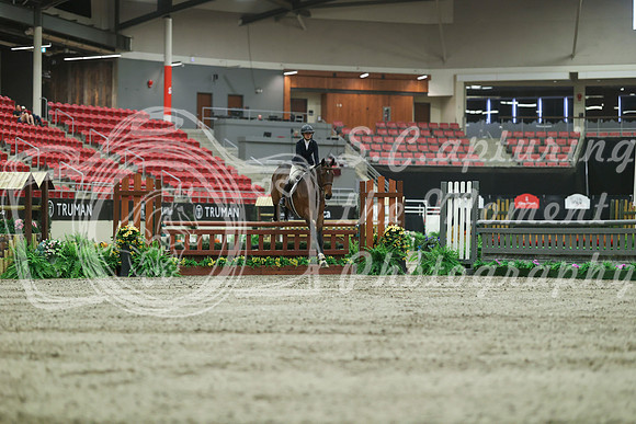 04837 - Mara - 2026 Royal West - Saturday October 17th