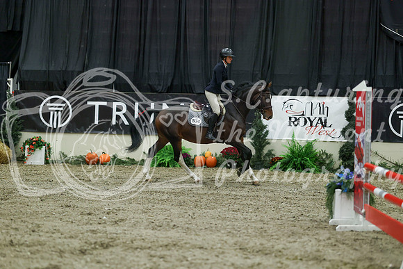 00123 - Mara - 2026 Royal West - Thursday October 15th