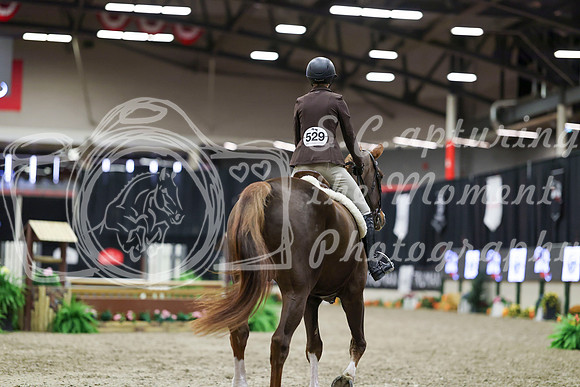 00829 - Mara - 2026 Royal West - Tuesday October 20th