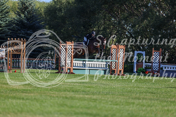 12633 - Shea - 2026 Harvest - Sunday September 20th