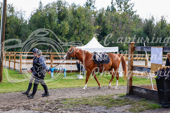 2025 - Haylee - Picco Horse Show - Saturday July 26th 00034