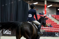 01239 - Mara - 2026 Royal West - Tuesday October 20th