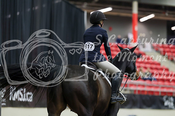 01239 - Mara - 2026 Royal West - Tuesday October 20th