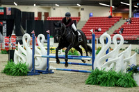 00495 - Mara - 2026 Royal West - Saturday October 2th