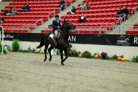 00019 - Mara - 2026 Royal West - Wednesday October 21st