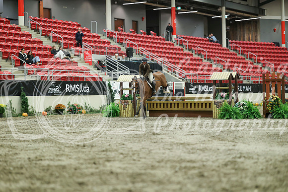 03001 - Mara - 2026 Royal West - Saturday October 17th