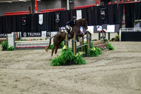 04005 - Mara - 2026 Royal West - Tuesday October 20th
