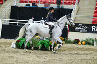 03143 - Mara - 2026 Royal West - Thursday October 22nd