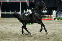 07423 - Mara - 2026 Royal West - Sunday October 18th