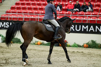 08240 - Mara - 2026 Royal West - Thursday October 22nd