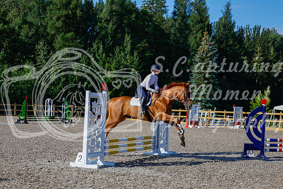 2025 - Haylee - Picco Horse Show - Thursday July 24th 00375