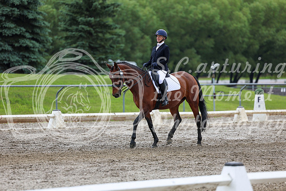 2025 - Dressage Festival - Sunday July 6th - 13164