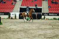 06407 - Mara - 2026 Royal West - Saturday October 24th