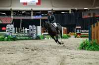 05100 - Mara - 2026 Royal West - Monday October 19th
