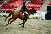 04200 - Mara - 2026 Royal West - Wednesday October 21st