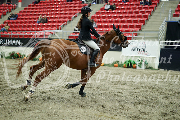 04200 - Mara - 2026 Royal West - Wednesday October 21st