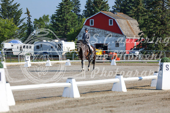 2025 - Dressage Festival - Saturday July 5th - 00107