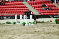 06471 - Mara - 2026 Royal West - Saturday October 24th
