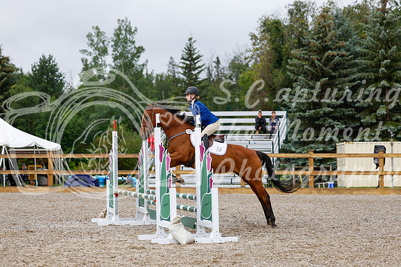 2025 - Haylee - Picco Horse Show - Sunday July 27th 01148
