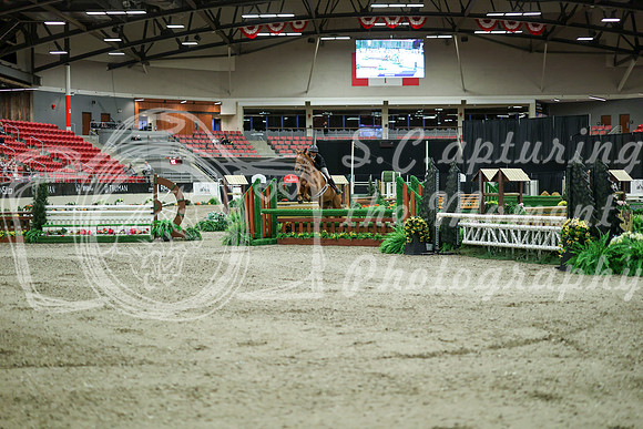 06945 - Mara - 2026 Royal West - Saturday October 17th