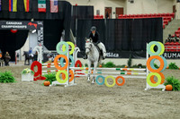 01563 - Mara - 2026 Royal West - Thursday October 15th