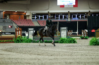 01186 - Mara - 2026 Royal West - Saturday October 17th