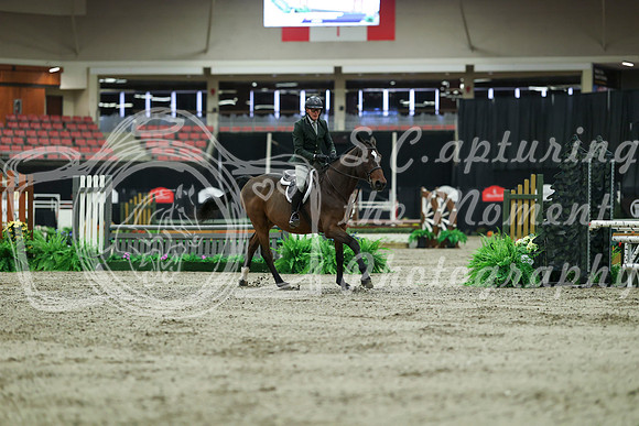 01551 - Mara - 2026 Royal West - Saturday October 17th