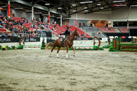 07332 - Mara - 2026 Royal West - Saturday October 17th