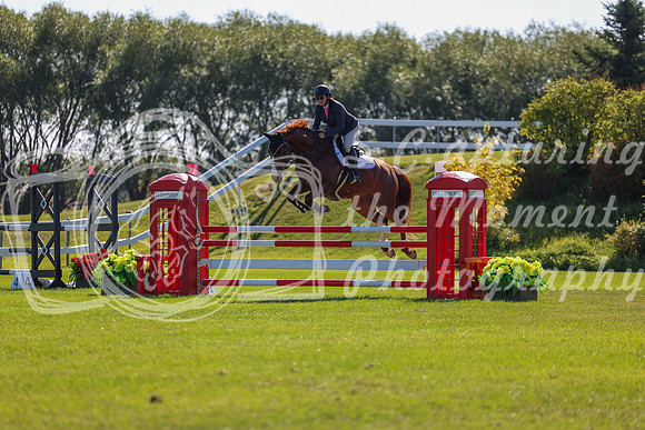 06498 - Shea - 2026 Harvest - Sunday September 20th