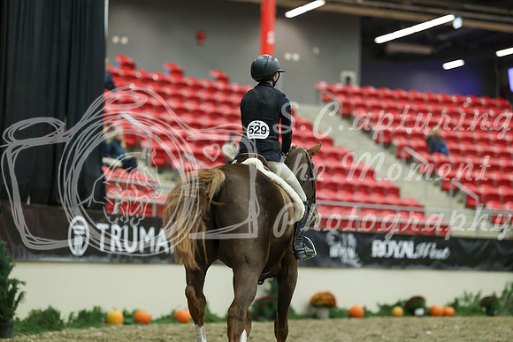 02882 - Mara - 2026 Royal West - Saturday October 17th