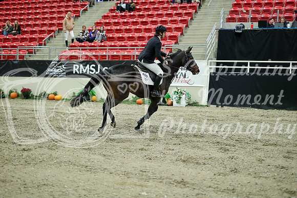 03689 - Mara - 2026 Royal West - Wednesday October 21st
