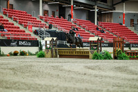 01195 - Mara - 2026 Royal West - Saturday October 17th
