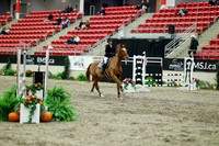 03505 - Mara - 2026 Royal West - Friday October 16th