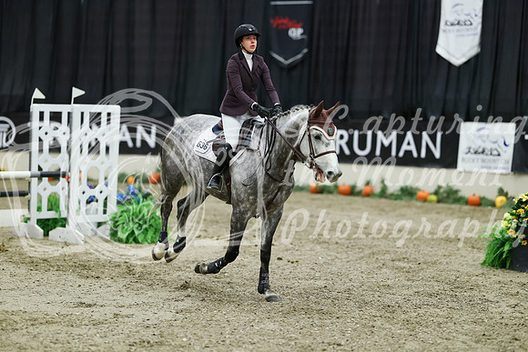 03689 - Mara - 2026 Royal West - Thursday October 22nd