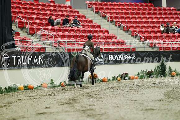 01245 - Mara - 2026 Royal West - Saturday October 17th