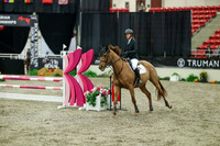 01246 - Mara - 2026 Royal West - Sunday October 18th