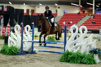 00675 - Mara - 2026 Royal West - Saturday October 2th