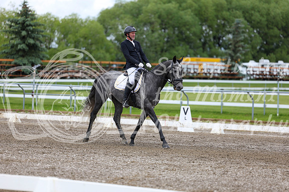 2025 - Dressage Festival - Sunday July 6th - 09875