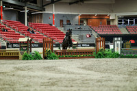 01437 - Mara - 2026 Royal West - Saturday October 17th