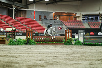 05518 - Mara - 2026 Royal West - Saturday October 17th