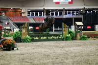 01009 - Mara - 2026 Royal West - Tuesday October 20th