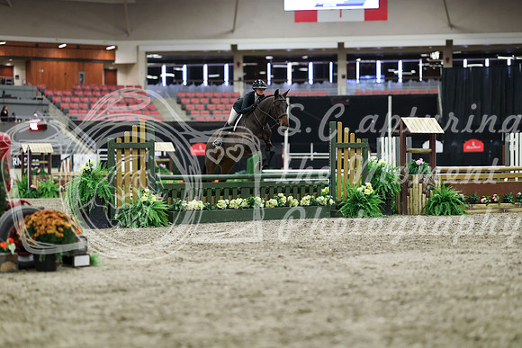 01009 - Mara - 2026 Royal West - Tuesday October 20th