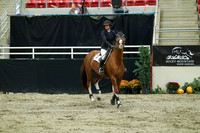 00733 - Mara - 2026 Royal West - Wednesday October 21st